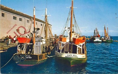 Ansichtskarte> FISCHERBOOTE AM STADTPIER, PROVINCETOWN, CAPE COD