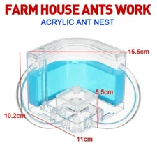 3D Ant Farm Insect Nest Villa Pet House Blue Feeding System Science Educational