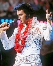 Elvis Presley King Of Rock Aloha Hawaii Performance  8x10 PHOTO PRINT