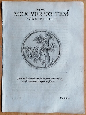 Mox verno tempore prodit - Camerarius Emblemata Original Prints Birds - 1605