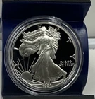 1991 S American Silver Eagle Gem Proof In Plastic Holder No Box