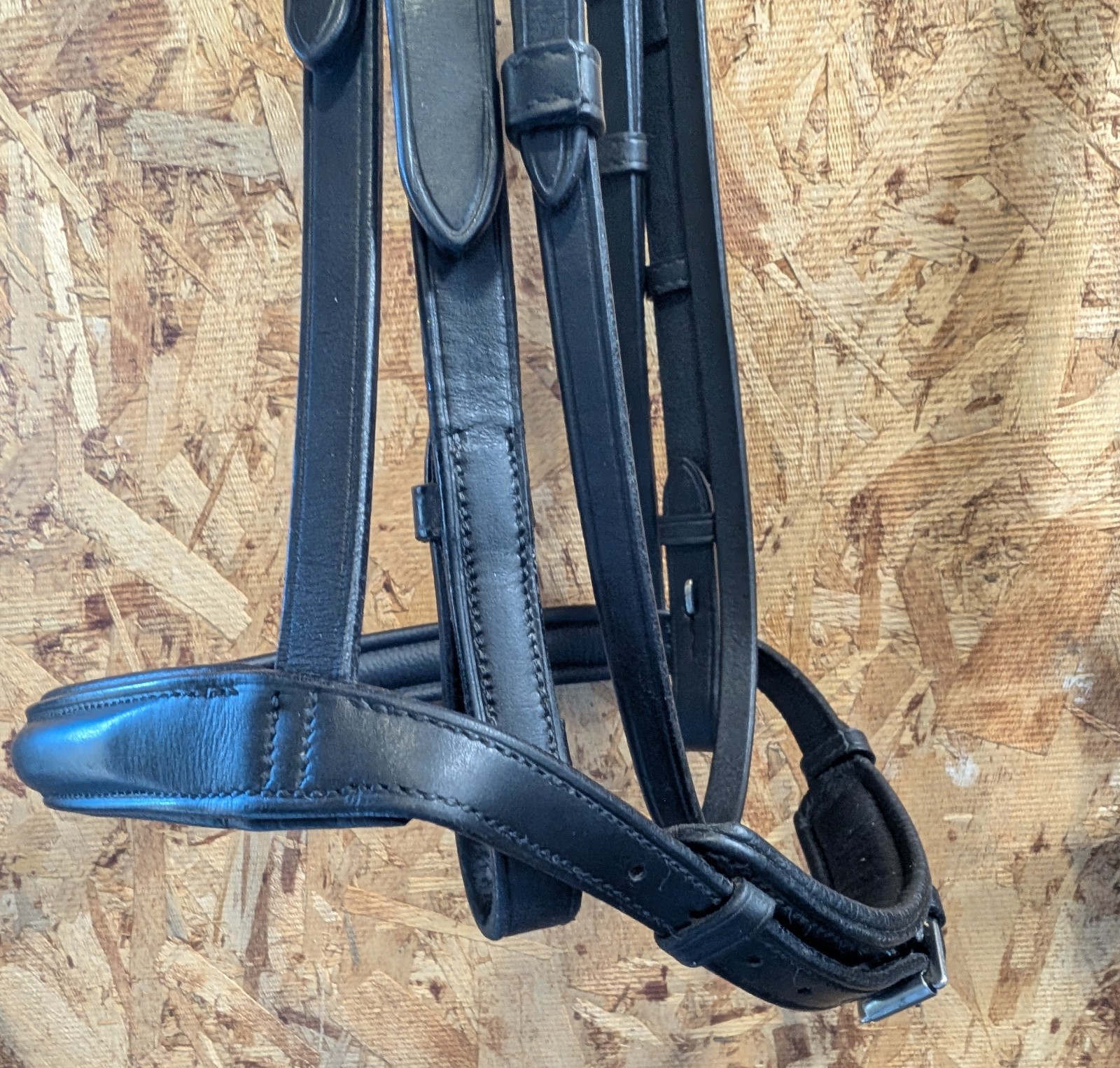 VESPUCCI Classic Padded Dressage Bridle $318