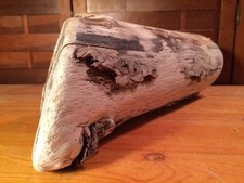 Beautiful 15" DRIFTWOOD Piece Art Terrarium Taxidermy Aquarium Beach Wood DECOR