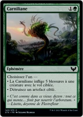 MTG Magic STX - [x4] Tangltrap/Carniliane, French/VF