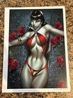 J SCOTT CAMPBELL VAMPIRELLA Art Print Poster SHIPPED FLAT