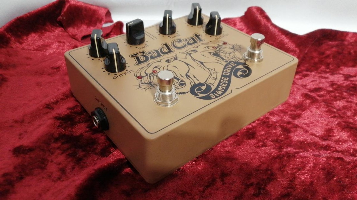Bad Cat Siamese Drive Gold Overdrive Pedal Guitar Effects | eBay