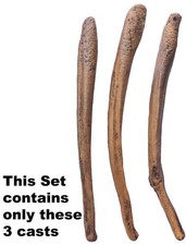 Os pene di orso delle caverne Ursus spelaeus, 3 esemplari diversi - Cast di resina