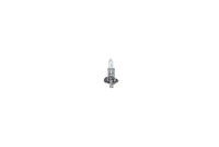 1 987 302 011 Bosch GlüHlampe, Nebelscheinwerfer FüR ,Abarth,Agrale,Alfa Romeo,A