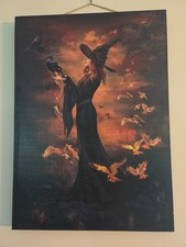 Ashland Light Up Witch With Raven