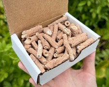 Fulgurite Crystals Collection Box: 1/2 lb Natural Lightning Formed Fulgurite