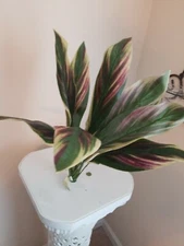  Bush touch 23' Greenery Home Interiors Decor