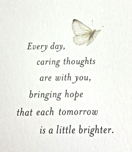 ENCOURAGEMENT Cards For FRIEND, Nature's Sketchbook brand 3 styles Hallmark NS35 - Picture 8 of 12
