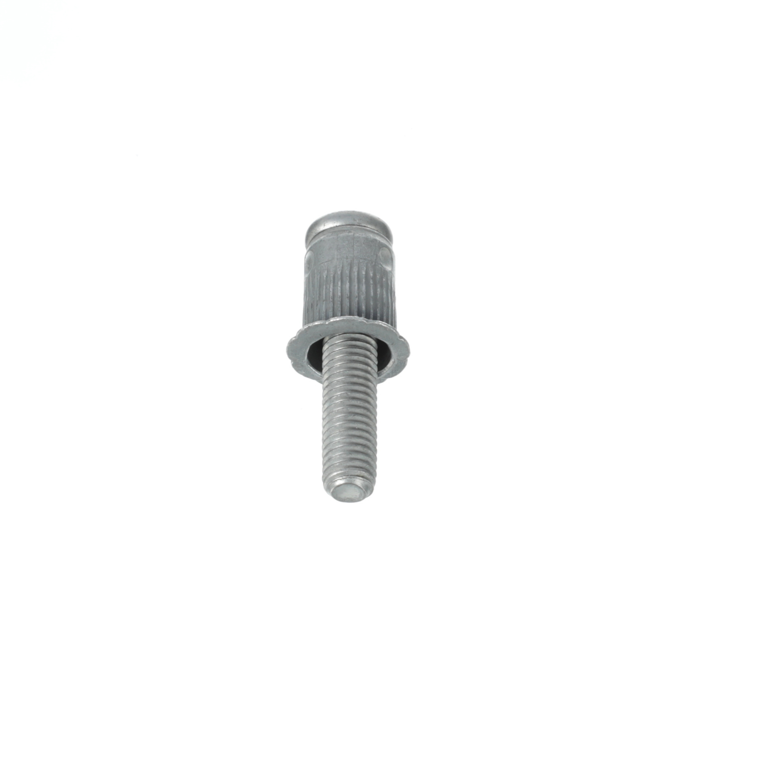 Remache ciego especial para Ford (N/P W718180-S450)