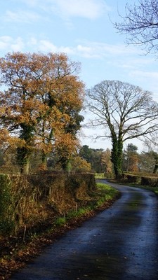 Foto 12x8 Sandy Lane, E von Sandylane Farm, Peover Superior Smithy Green \/ c2016