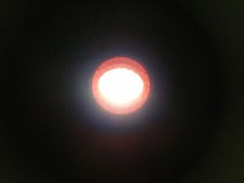 PEREI BUS LED RFRV700 LED REAR LAMP  120mm FOG / REVERSE 12 V  BUS LORRY TRAILER