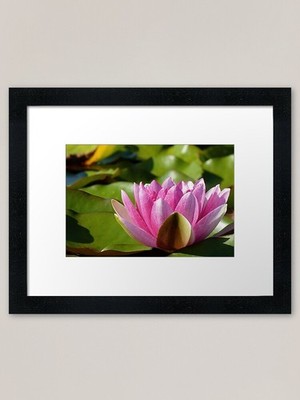 Glory! Framed Art Print Framed Wall Art Poster Canvas Print Picture