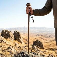 Indian Rosewood Hiking Staff Detachable Walking Cane 4-Piece Trekking Stick Gift