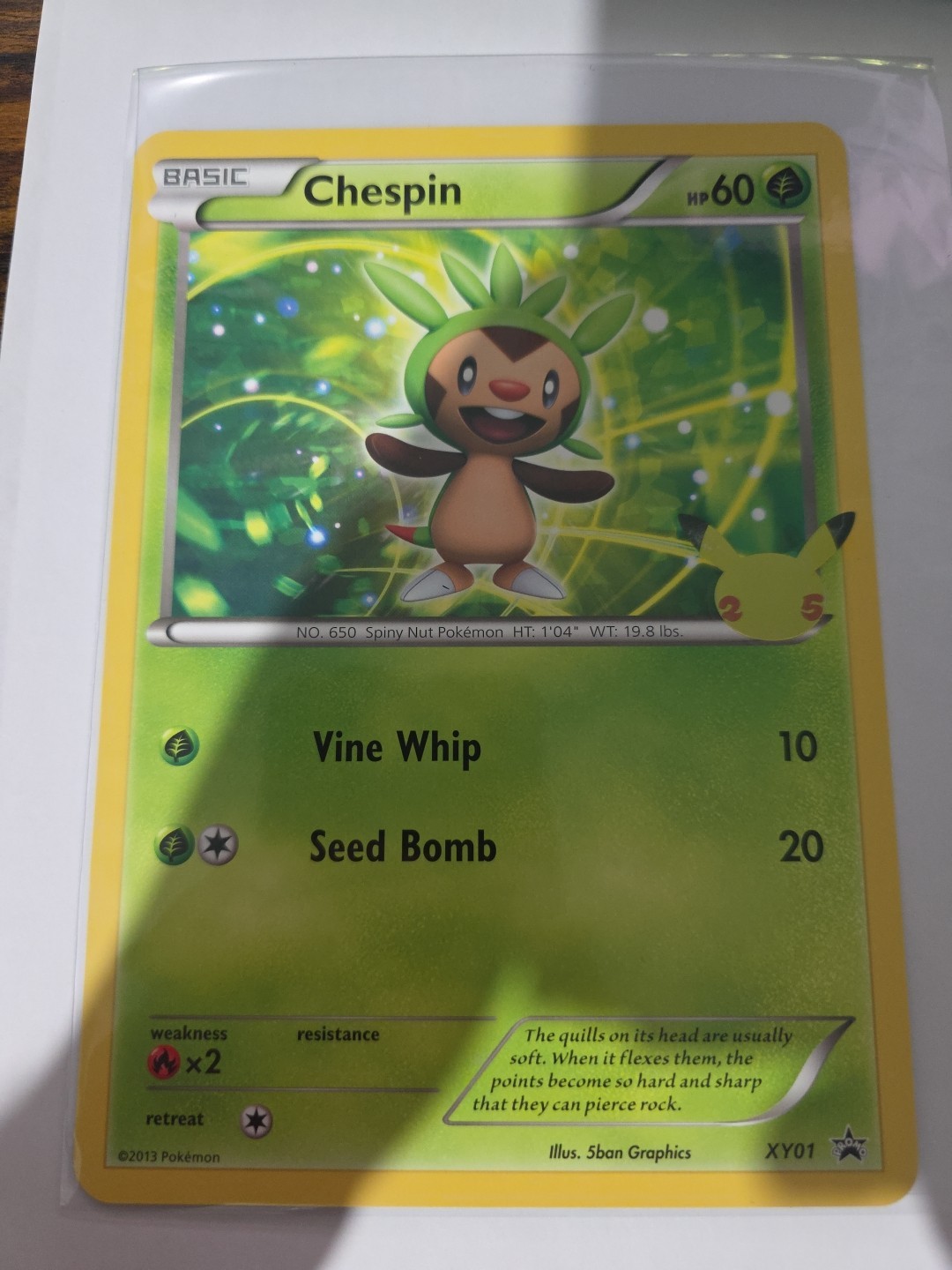 Pokemon Chespin Jumbo Xy01 Promo 25th Anniversary 