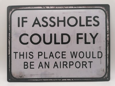 Retro Schild Blechschild Dekoration Deko Vintage Schild If Assholes could Fly