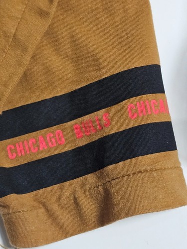 Vintage 91/92/93 Chicago Bulls Champs Long Gone shirt - Picture 12 of 14