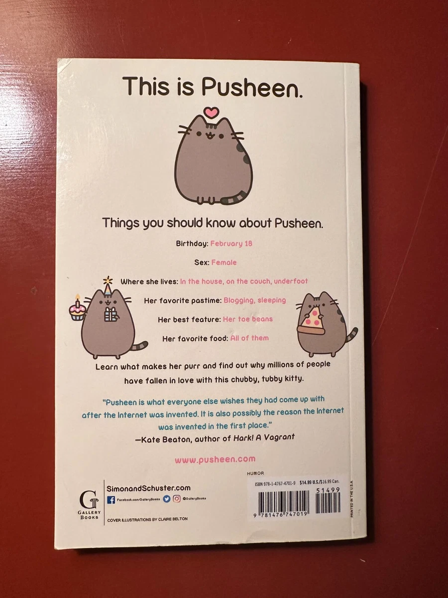 All about pusheen sale