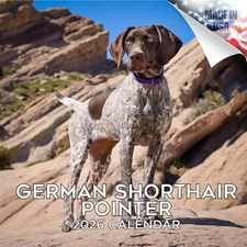 German Shorthair Pointer Dog Breed Calendar 2026 FULL SIZE 12x24 Made in USA
