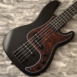 12 String Harley Benton | eBay