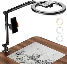 Ring Light with Stand and Phone Holder, USB 10" Ring Light for Desk, Overhead...