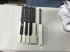 Hammond REGULAR C NATURAL ONE REPLACEMENT KEY FOR B3 C3 A-100 B2 C2 M3