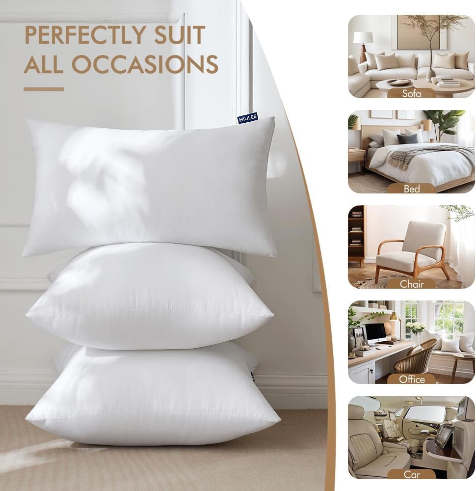 MIULEE 20x20 Inches Pillow Inserts Pack of 2, Decorative Inch, White 