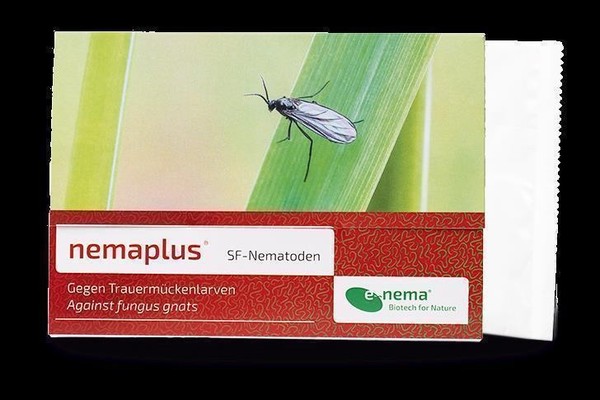 Nemaplus Sf Nematoden Zur BekäMpfung Von TrauermüCken 1 Mio Schnell Wirksam-image
