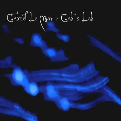 Gabriel Le Mar - Gab'S Lab