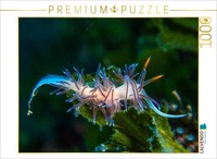 Calvendo Puzzle Nudibranch In The Mediterranean | 1000 Pieces, Finished Size 25.