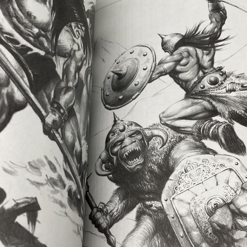 CONAN THE CRUEL - RARE PAPERBACK BOOK - ROBERT E HOWARD BOOK fantasy art drawing - Picture 6 of 12