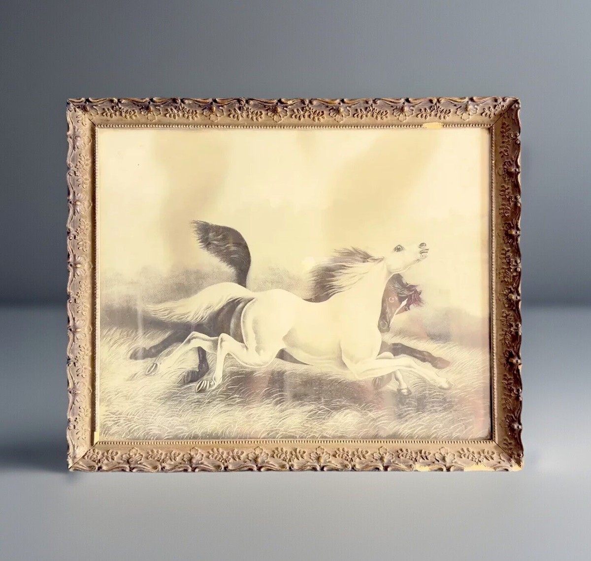 Wild Horses LeRoy 1900 Lithography By J. Hoover & Son In Original