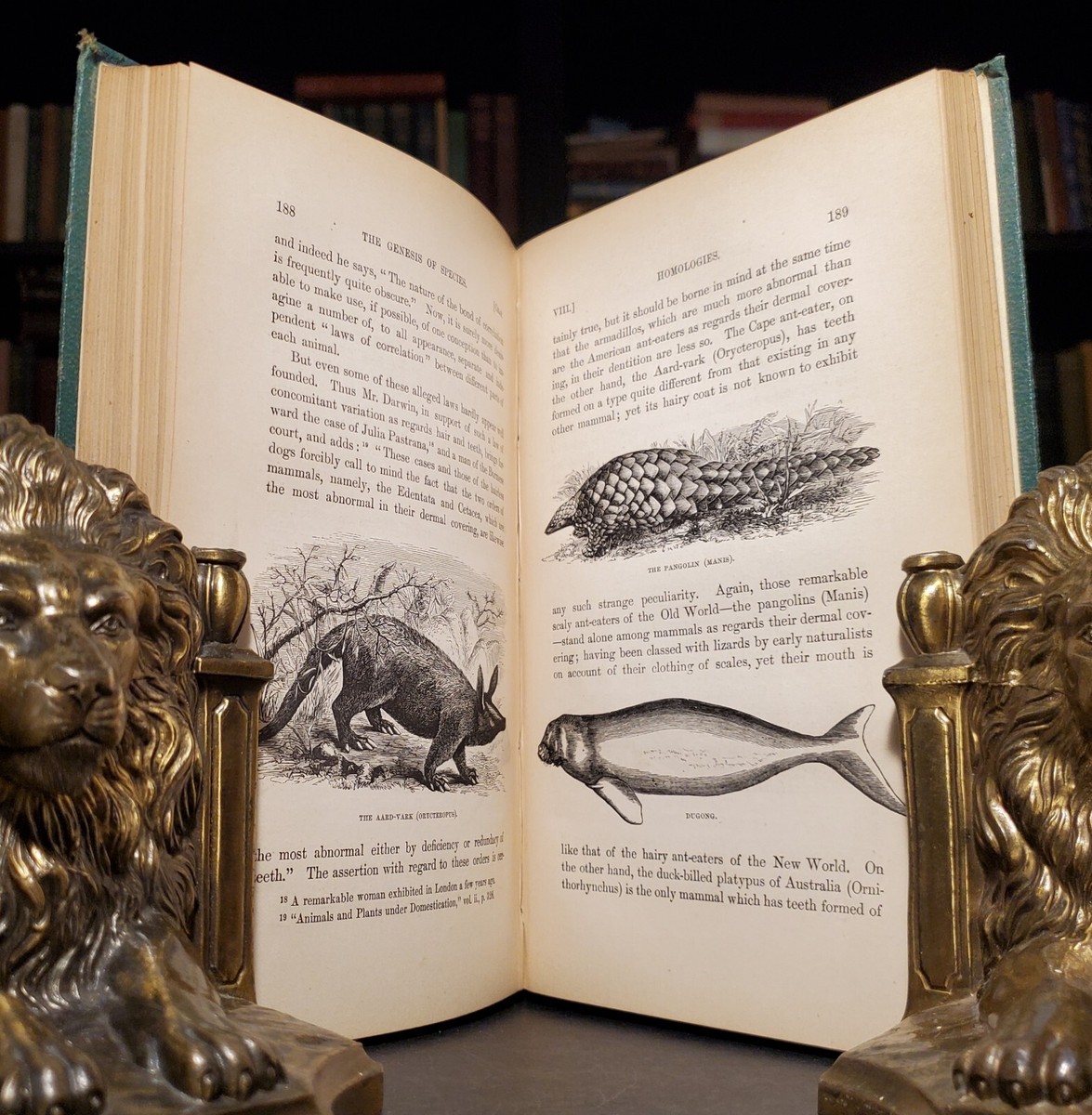 洋書 THE GENESIS OF SPECIES MIVART 1871 The Genesis Of Species 1871 By Mivart 1st Edition Illustrated