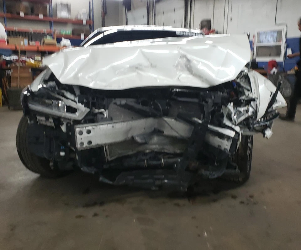 16 17 18 19 20 21 22 23 MAXIMA Left Rear Coil Spring, SV - Image 2 of 4