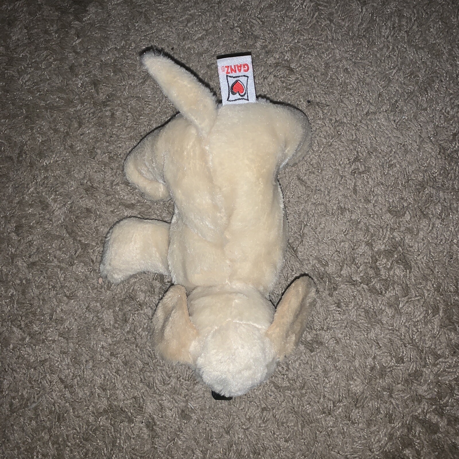 Picture 4 of 5