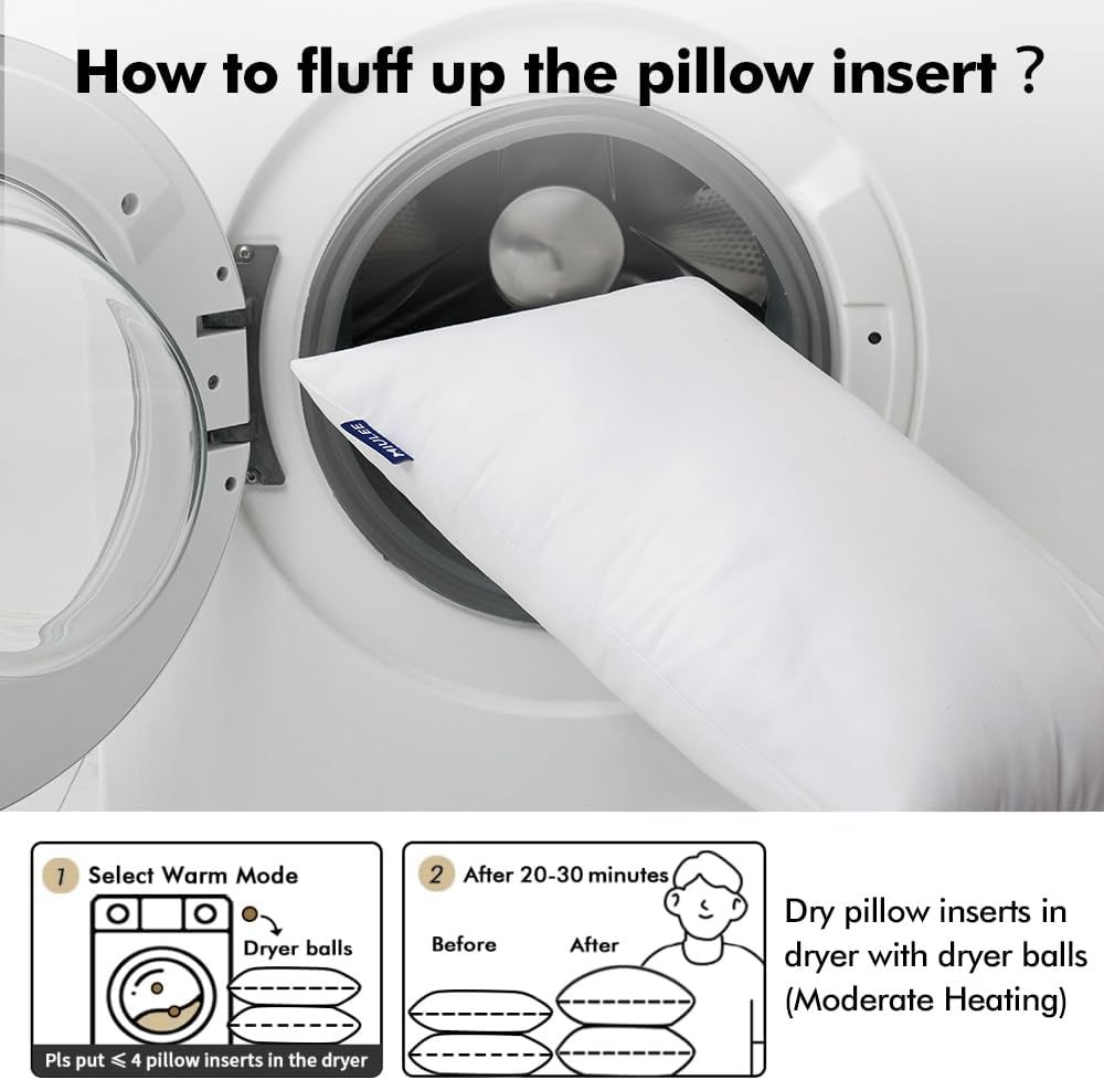 MIULEE 20x20 Inches Pillow Inserts Pack of 2, Decorative Inch, White 