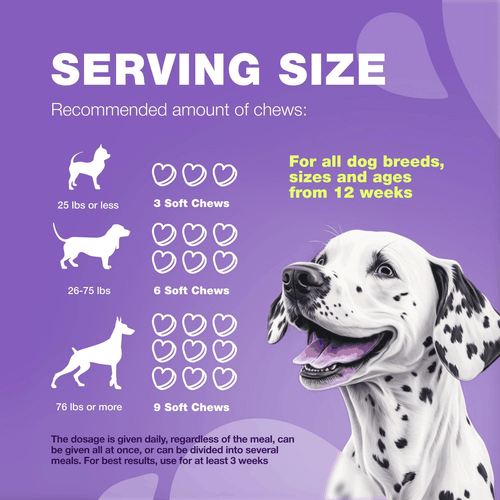 Dog Vitamins 15 in 1 Multivitamin Chews with MSM for Hip Joint Health Support - Picture 8 of 8