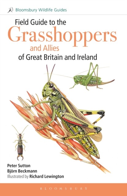 Field Guide to the Grasshoppers and Allies of Great Britain and Ireland: Grasshoppers, Crickets, Earwigs, Cockroaches, Mantids and Stick-insects (Bloomsbury Wildlife Guides) - Image 6