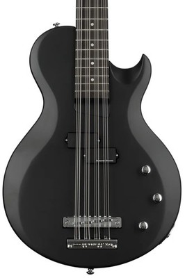 Schecter dUg Pinnick DP-12 12-string Bass Guitar - Satin Black