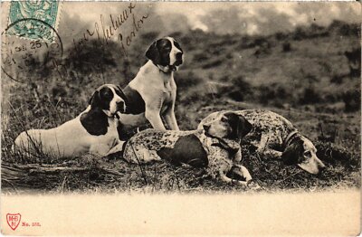 CPA AK Resting Dogs DOGS (1388337)
