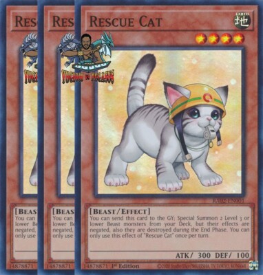 Rescue Cat Yugioh: Ultimate Strategies to Win Every Duel