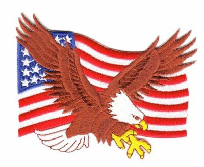 Aufnäher Patch Adler / Eagle USA 10 x 7 cm