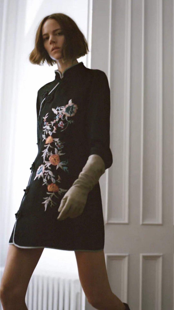 embroidered jacquard dress zara Bree V Neck Embroidery Mini Dress