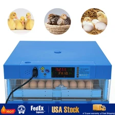64 eggs 110V 12V chicken duck goose incubator Fully automatic dual power supply