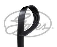 Keilrippenriemen 8PK2093 Gates FüR Land Rover