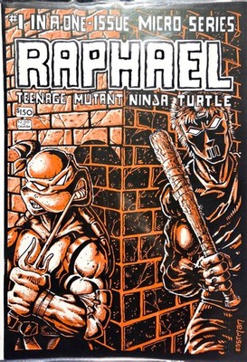 Raphael: Teenage Mutant Ninja Turtle MicroSeries TMNT 1st Appearance Casey Jones