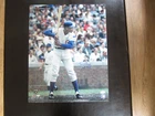 Ernie Banks Autograph Signed 16 X 20 Photo JSA Chicago Cubs Mr Cub